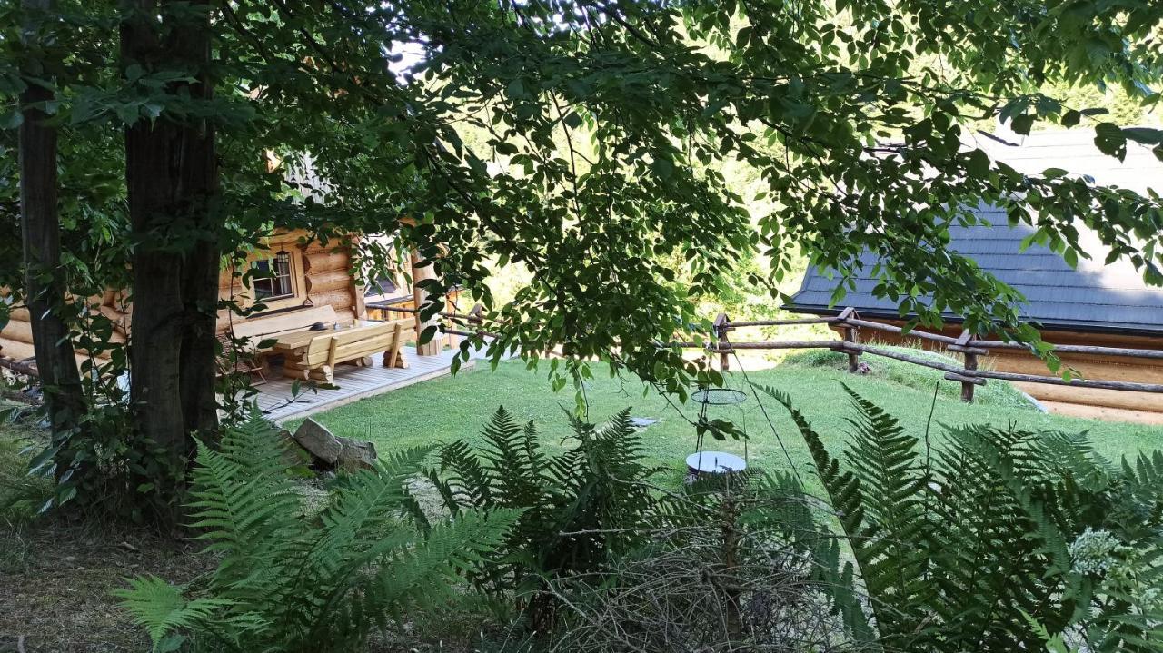 Osada Mała Kozówka Myślenice Exterior foto