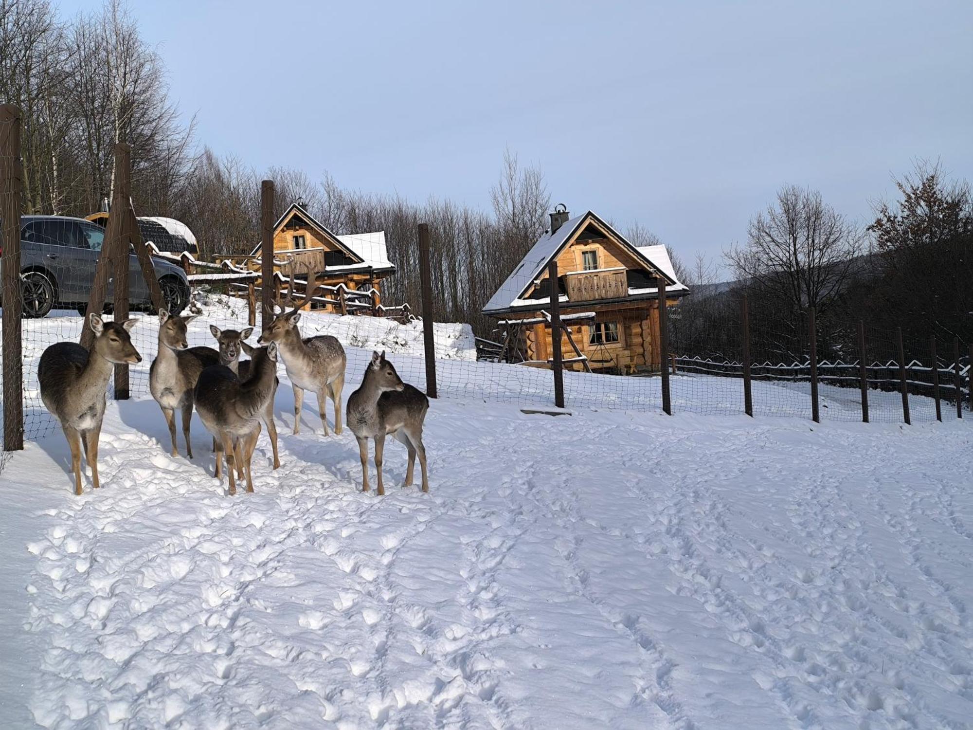 Osada Mała Kozówka Myślenice Exterior foto